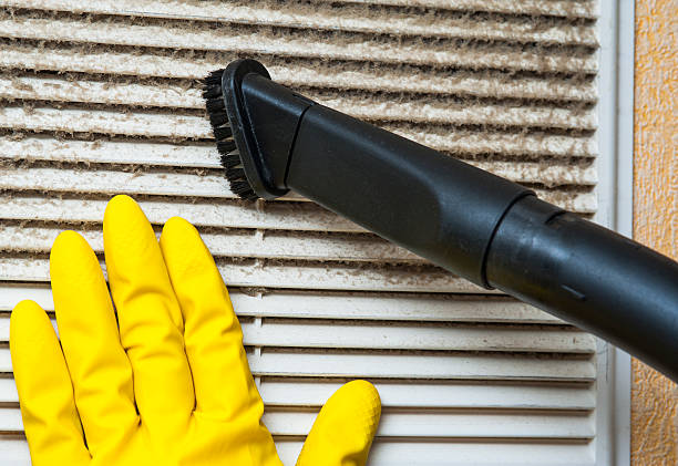 Best Affordable Air Duct Cleaning  in Kendale Lakes, FL